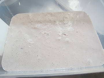 adukimilk2.jpg