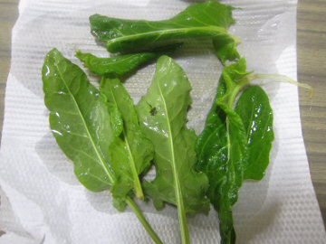 suiba9.jpg