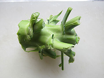 broccoli3.jpg