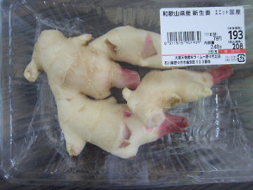 gari1.jpg