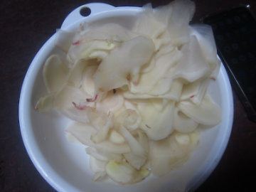 gari2.jpg