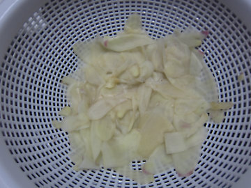 gari3.jpg