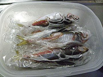 koajikanroni26.jpg