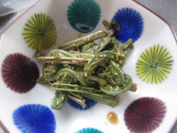 kogomi6.jpg