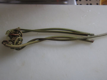 oniwarabi8.jpg