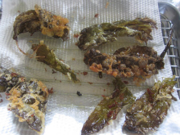 suiba10.jpg