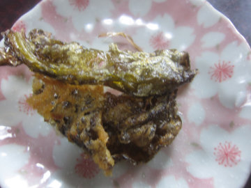 suiba11.jpg