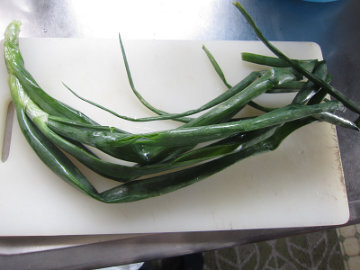 tamanegihaninniku1.jpg