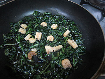 tanpopo13.jpg