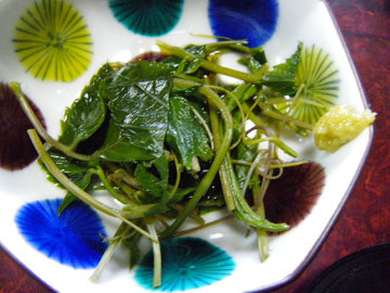 yabugarasi12.jpg