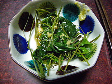 yabugarasi14.jpg