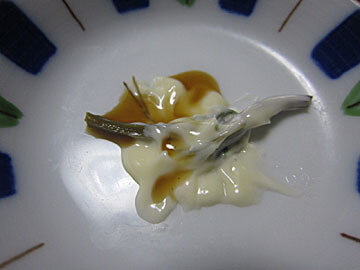 yabugarasi9.jpg