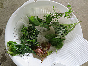 yasoutenpura1.jpg